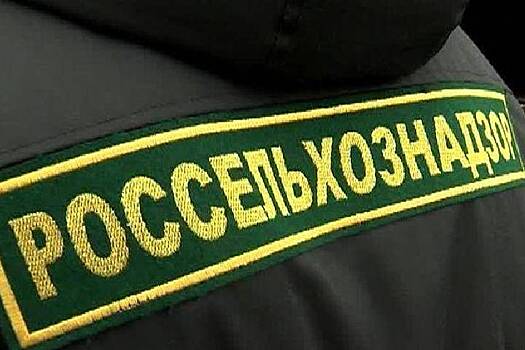 В Надеждинском районе появилось песчаное «поле чудес»