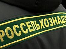 В Надеждинском районе появилось песчаное «поле чудес»