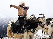 Как изменились цены на жилье на горных курортах РФ после Нового года