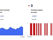 За сутки в Саратовской области снова не выявили ни одного случая смерти от COVID-19