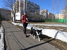 Памп-трек, текбол и арт-объекты. В Северном Бутове появится спортивный кластер