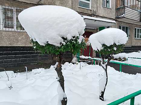 Омичей ожидает контрастная и аномальная зима