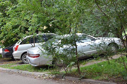 В Ленинском районе Красноярска автомобилистов за парковку на газонах оштрафовали на 2 млн рублей