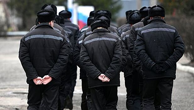 Срок за статус. Как изменит жизнь криминального мира инициатива Путина