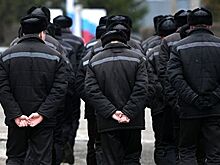 Срок за статус. Как изменит жизнь криминального мира инициатива Путина
