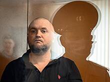 Суд оставил в силе приговор создателю «Омбудсмена полиции»