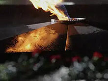 В России женщина потушила Вечный огонь и попала на видео