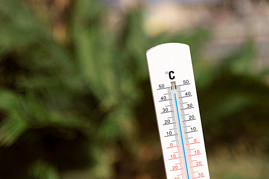 В Новосибирске наблюдается рост средней температуры и количества тёплых дней