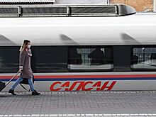 Между Москвой и Петербургом запустили дополнительные поезда "Сапсан"