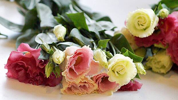 Эксперты рассказали, как с помощью букета на 8 Марта передать чувства