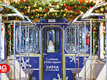 Новогодний поезд заметили в московском метро