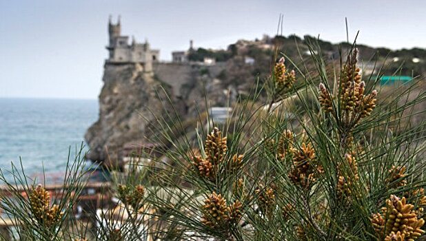 В Крыму стартует молодежный форум "Таврида"