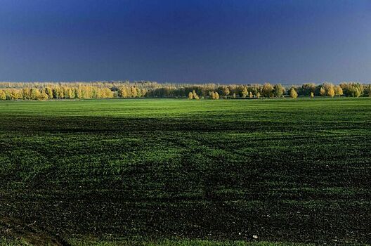 В Госдуму внесли законопроект о землях с особыми условиями использования