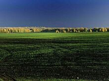 В Госдуму внесли законопроект о землях с особыми условиями использования