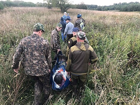 Пенсионерку из Кольчугино двое суток искали в лесу спасатели МЧС