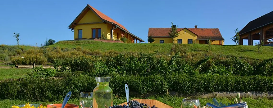 В Сочи планируют создать экофермы