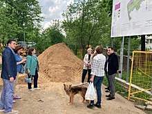 Благоустройство знакового объекта в Старом Крюково находится под контролем общественников