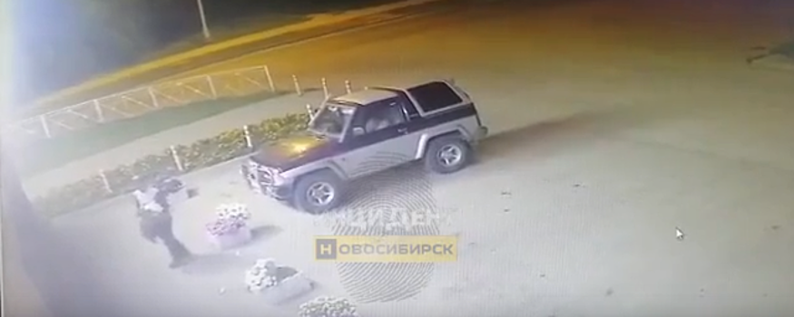 В НСО подростки разорили очередную клумбу