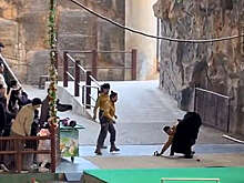 Медведь напал на сотрудника зоопарка, когда его вели на сцену