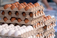Яйца в России за сентябрь подорожали на 2,6%