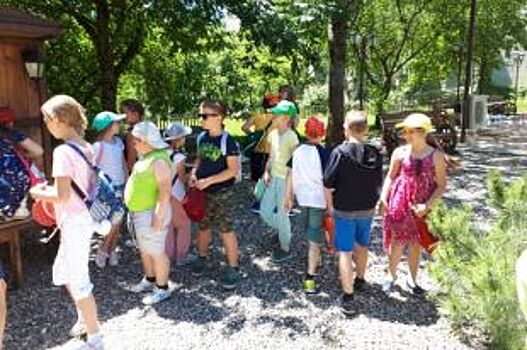 Почти 1000 детей проведут лето в оздоровительных лагерях Железноводска