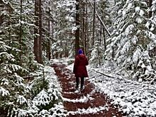 Недомашние выходные. Куда сходить омичам 16 и 17 ноября