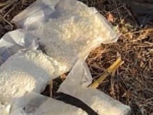 В Республике Адыгея сотрудники полиции задержали супругов, которые подозреваются в незаконном обороте наркотиков и их прекурсоров