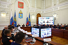 Донская делегация приняла участие в работе Совета при Президенте РФ по делам казачества