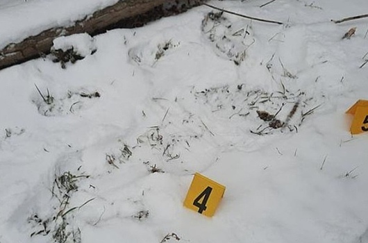 В Свердловской области местная жительница насмерть замерзла на улице