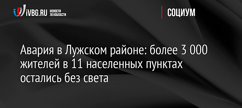 Авария в Лужском районе: более 3 000 жителей в 11 населенных пунктах остались без света