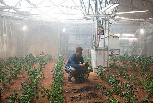 Ученые назвали сроки сбора урожая на Марсе