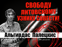 Альгирдас Палецкис: так что же такого я «нашпионил»?