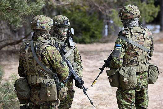 Эстония пригрозила Трампу