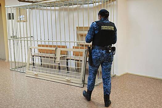 Задержанного ФСБ за пост в соцсетях об уроженцах Азии россиянина осудили