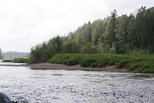 Задавил и нахамил: после ДТП на Тверской возбудили уголовное дело