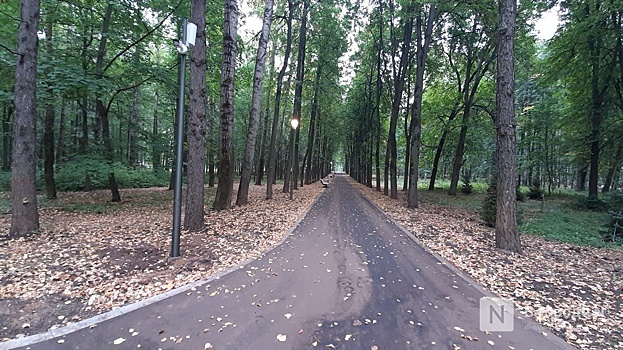 Нижегородский парк "Швейцария" открыли после обновления фестивалем и акцией "Сохраним лес"