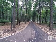 Нижегородский парк "Швейцария" открыли после обновления фестивалем и акцией "Сохраним лес"