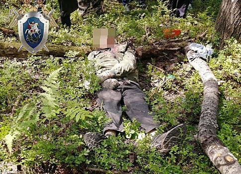 Рабочий погиб во время лесозаготовки в Ковернинском районе