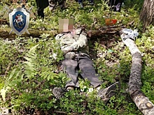 Рабочий погиб во время лесозаготовки в Ковернинском районе