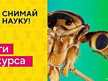 Телеканал "Наука" и WikiMedia подвели итоги фотоконкурса "Снимай науку!"