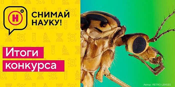 Телеканал "Наука" и WikiMedia подвели итоги фотоконкурса "Снимай науку!"