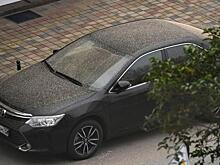 «Песчаный» дождь прошел в Приморье