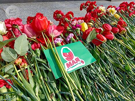 Новые площадки, истории правнуков и экспериментальный концерт: что нового ждёт ижевчан 9 мая