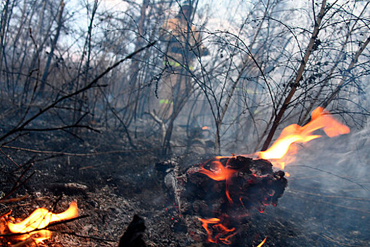 Площадь пожаров в Иркутской области сократилась более чем в два раза