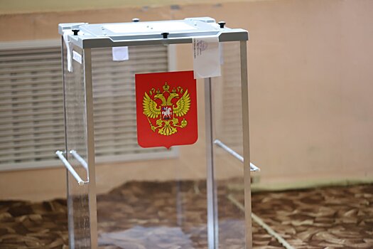 На выборы в Воскресенске идут местные жители