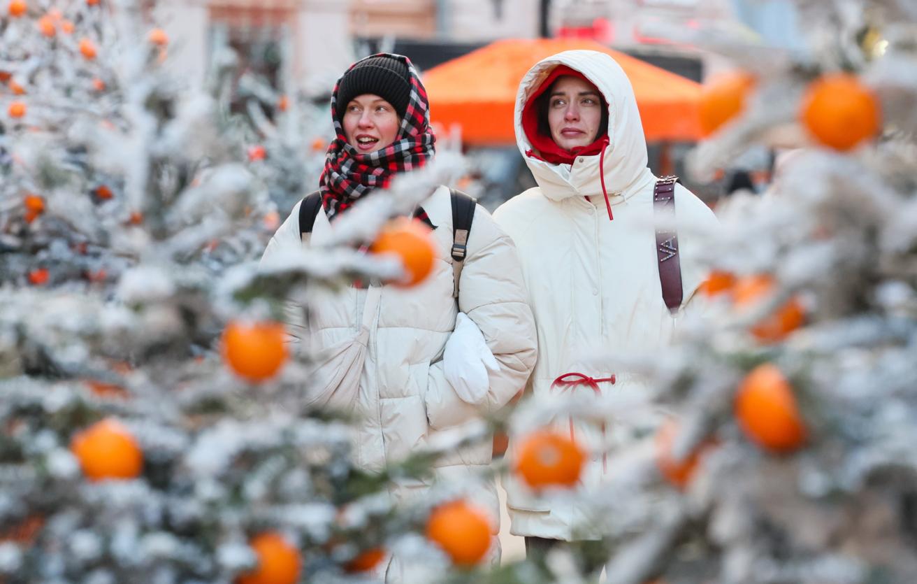 Вильфанд: снежный покров в Москве вырастет до 6 см