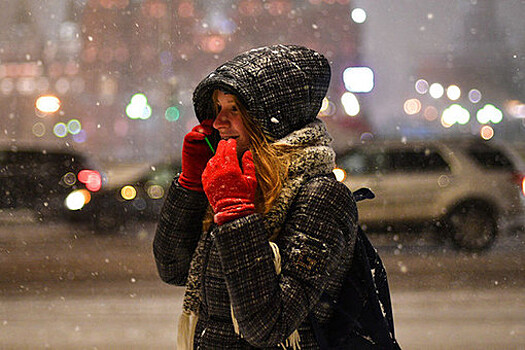 Синоптик Тишковец: ночью 30 января в Москву пришли афанасьевские морозы до -16°C