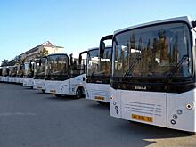 Крымские турфирмы запускают чартерные автобусы на полуостров
