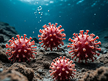 Российские ученые нашли три новых вируса в недрах Земли