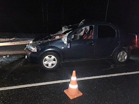 В Яранском районе водитель «Рено Логан» сбил лося